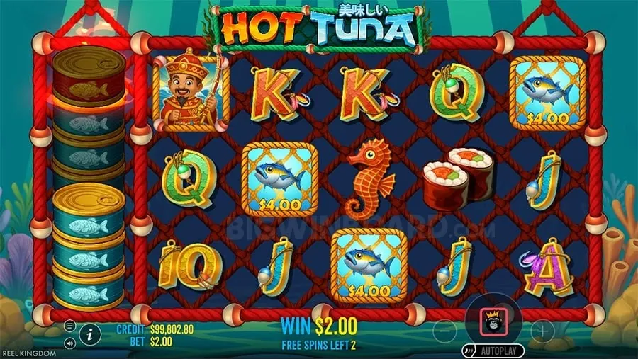 8k8 Casino Daily Cashback